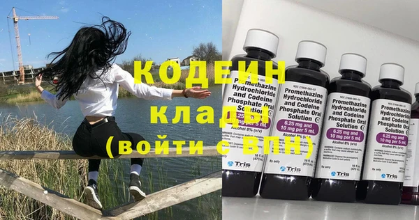 мяу мяу мука Бородино