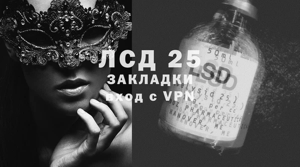 мяу мяу мука Бородино